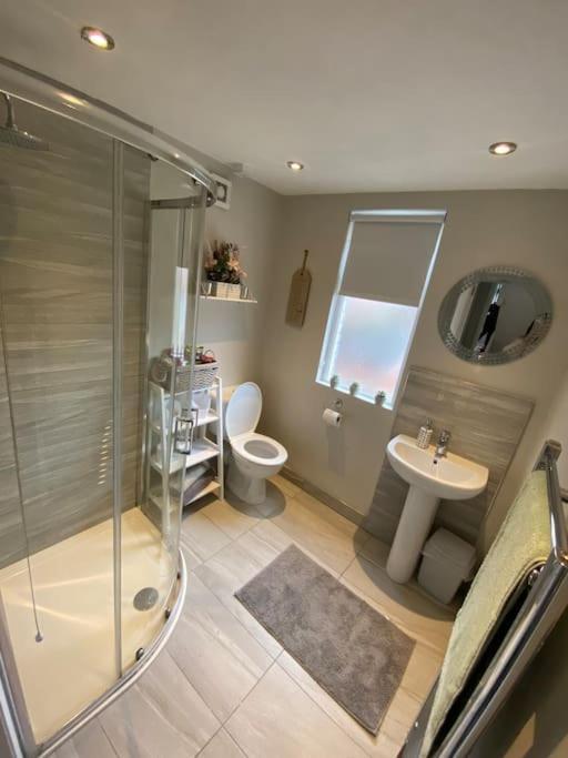 The Cozy Homestay Belfast Dış mekan fotoğraf