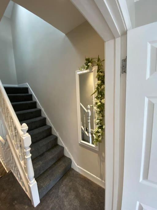 The Cozy Homestay Belfast Dış mekan fotoğraf